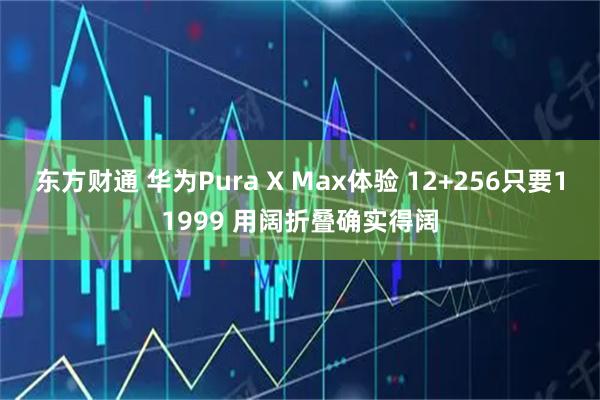 东方财通 华为Pura X Max体验 12+256只要11999 用阔折叠确实得阔