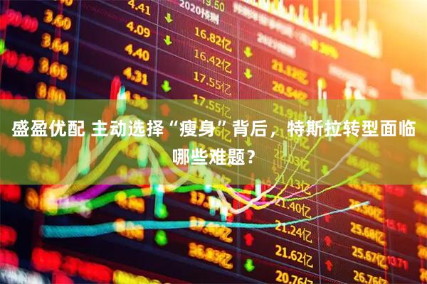 盛盈优配 主动选择“瘦身”背后，特斯拉转型面临哪些难题？